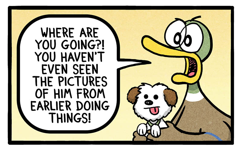bonus-panel-image