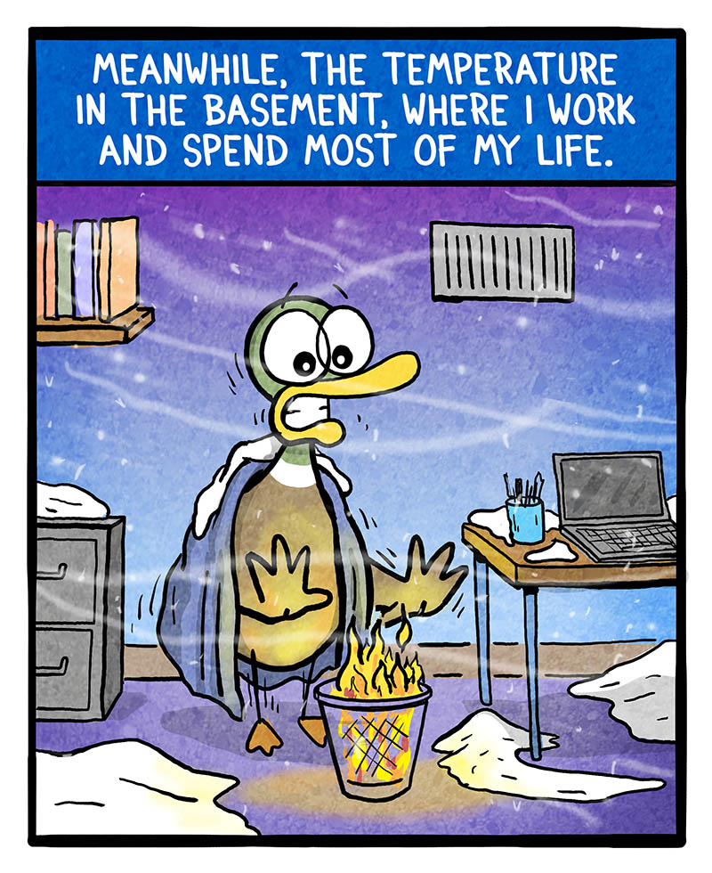 https://cdn.tinyview.com/fowl-language/2026/03/25/house-temperature/house-temperature-2.jpg