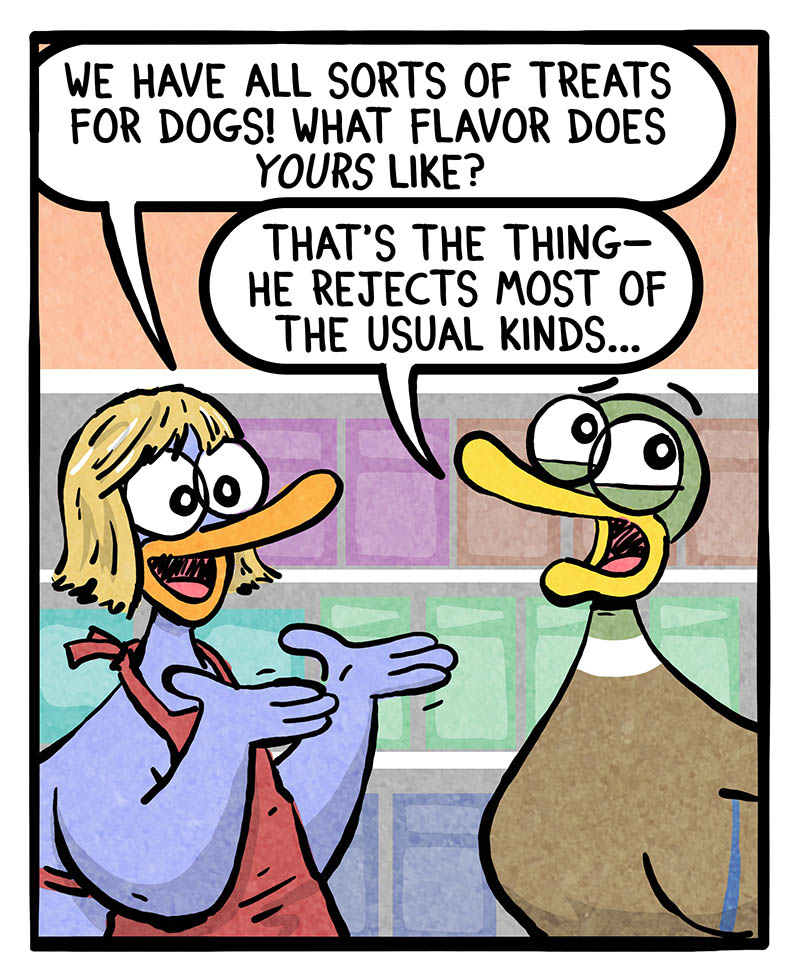 https://cdn.tinyview.com/fowl-language/2026/04/02/treat-flavors/treat-flavors-1.jpg
