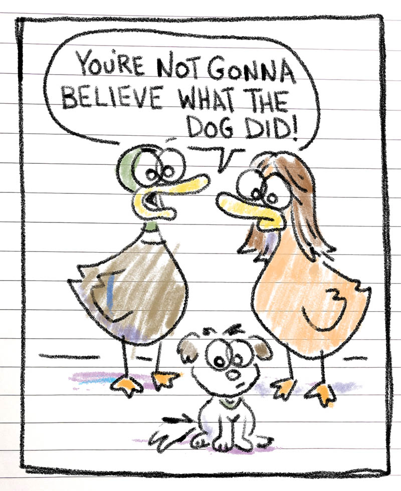 https://cdn.tinyview.com/fowl-language/2026/04/09/going-analogue/Going-analogue-1.jpg