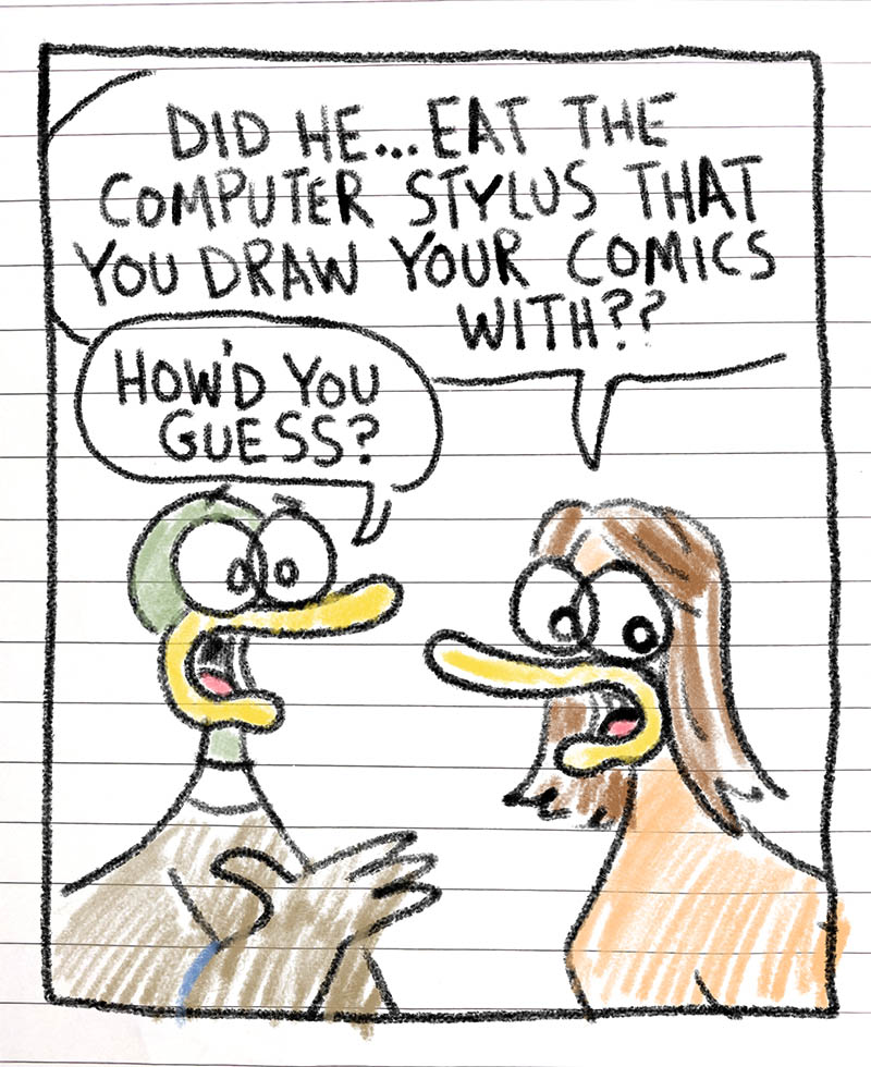 https://cdn.tinyview.com/fowl-language/2026/04/09/going-analogue/Going-analogue-2.jpg