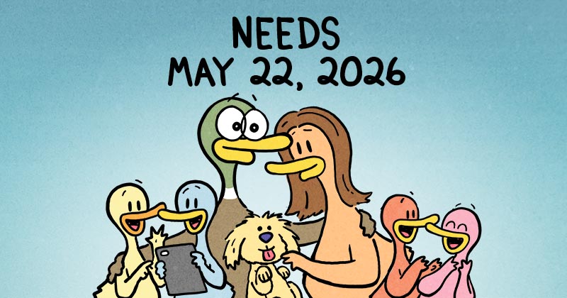 https://cdn.tinyview.com/fowl-language/2026/05/21/needs/needs-header.jpg