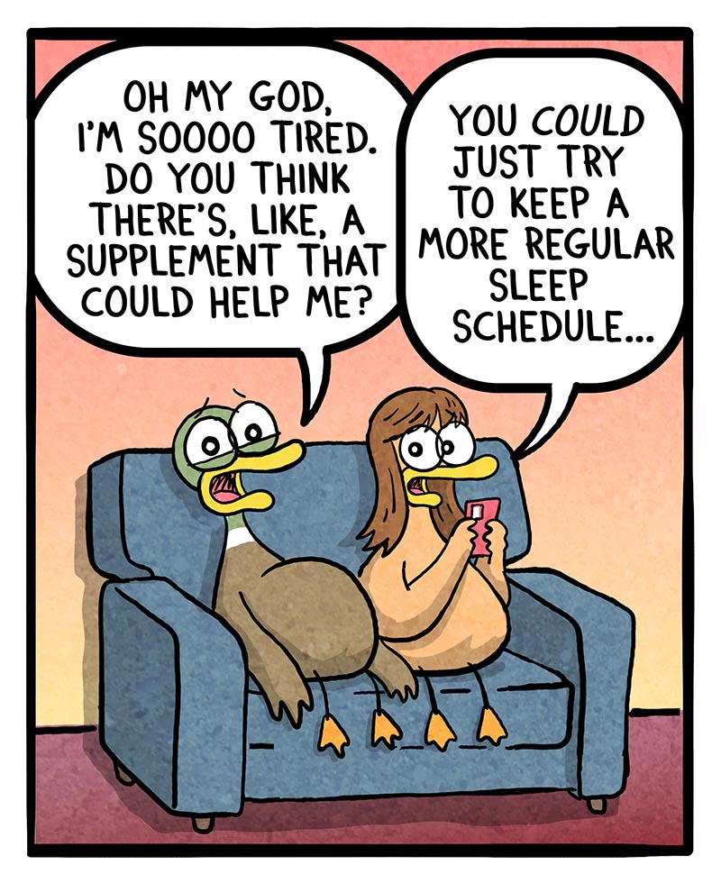 https://cdn.tinyview.com/fowl-language/2026/06/25/brainstorm/brainstorm-1.jpg