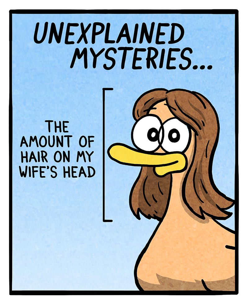 https://cdn.tinyview.com/fowl-language/2026/06/30/unexplained-mysteries/unexplained-mysteries-1.jpg