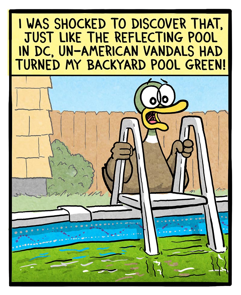 https://cdn.tinyview.com/fowl-language/2026/07/02/green-pool/green-pool-1.jpg