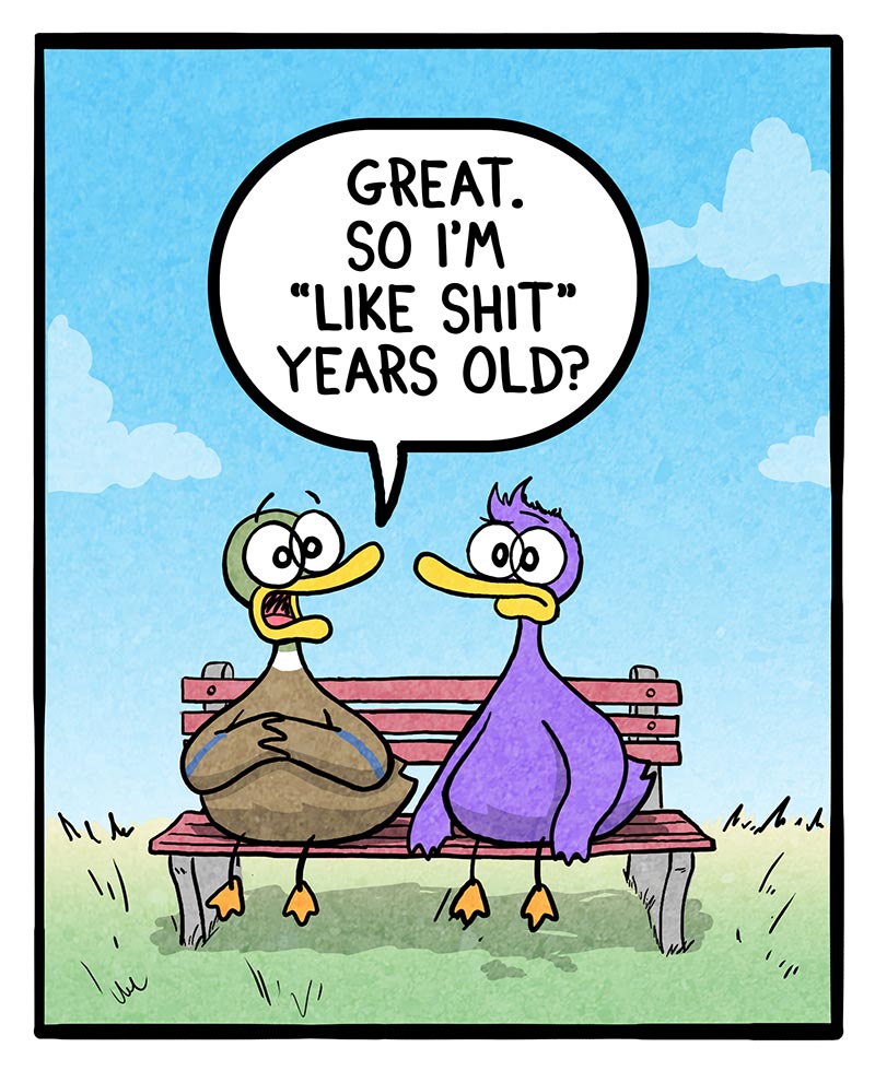 https://cdn.tinyview.com/fowl-language/2026/07/26/age-perspective/age-perspective-2.jpg