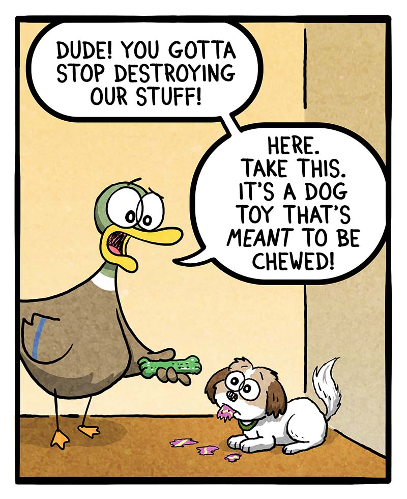 https://cdn.tinyview.com/fowl-language/2026/08/13/very-chew-sy/very-chew-sy-1.jpg