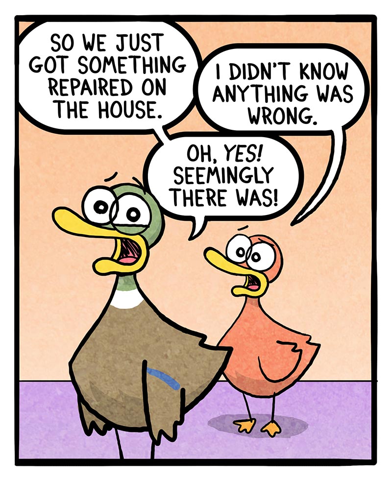 https://cdn.tinyview.com/fowl-language/2026/08/25/home-repairs/home-repairs-1.jpg