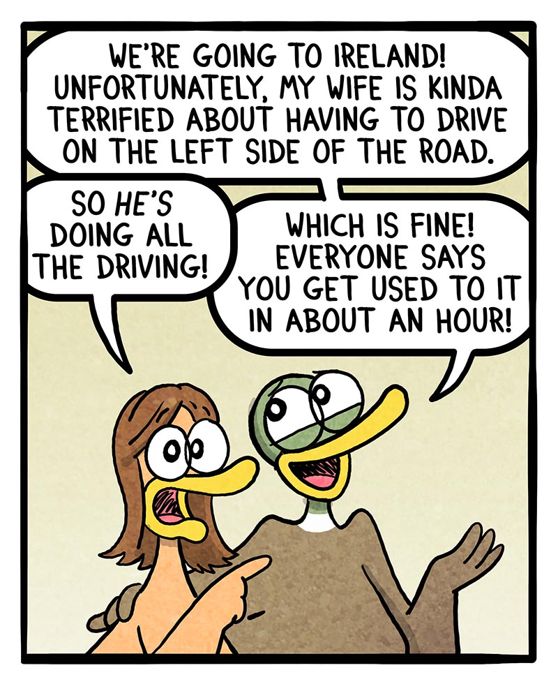 https://cdn.tinyview.com/fowl-language/2026/08/27/ireland-driving/ireland-driving-1.jpg