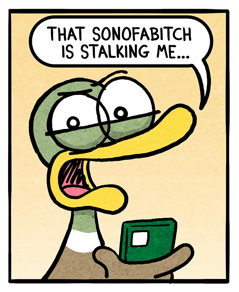 https://cdn.tinyview.com/fowl-language/2026/09/06/an-irish-hello/an-irish-hello-3.jpg