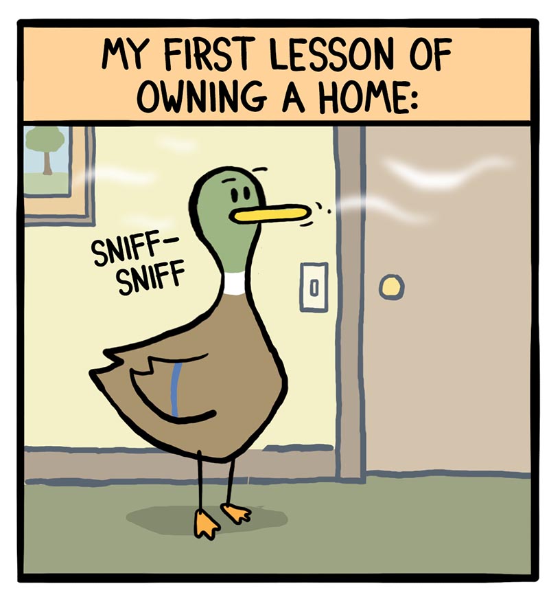 https://cdn.tinyview.com/fowl-language/2026/09/06/first-homeowner-lesson/homeowner-lesson-1.jpg