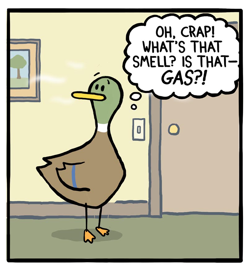 https://cdn.tinyview.com/fowl-language/2026/09/06/first-homeowner-lesson/homeowner-lesson-2.jpg