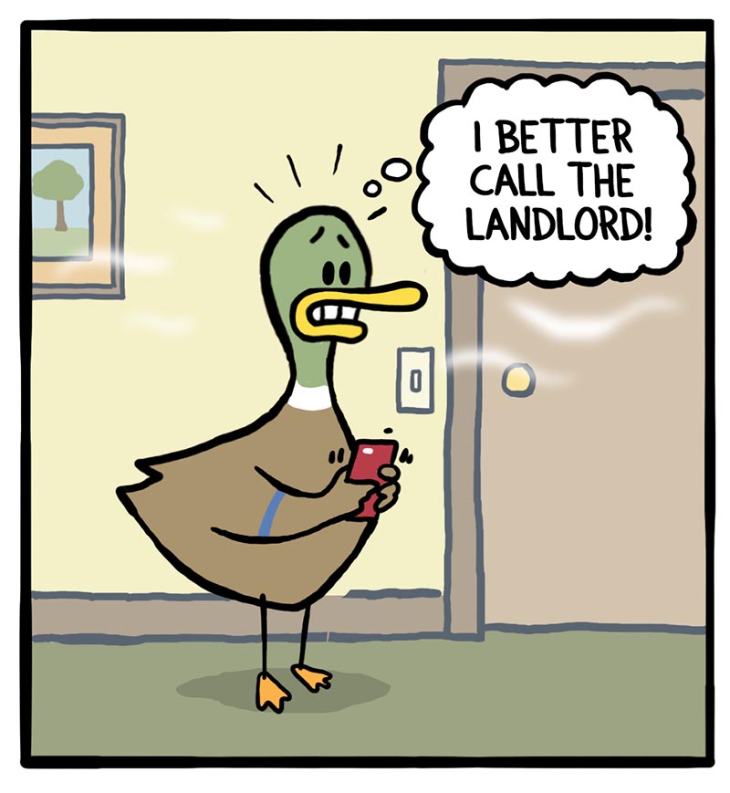 https://cdn.tinyview.com/fowl-language/2026/09/06/first-homeowner-lesson/homeowner-lesson-3.jpg