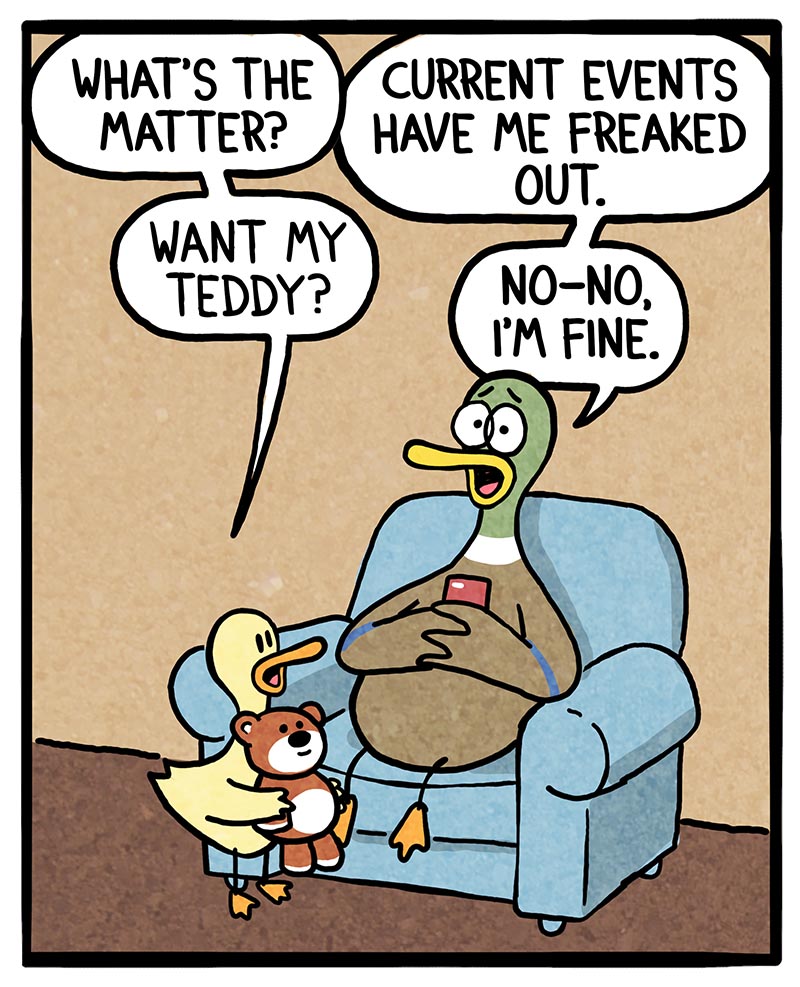 https://cdn.tinyview.com/fowl-language/2026/09/06/teddy-comfort/Teddy-comfort-1.jpg