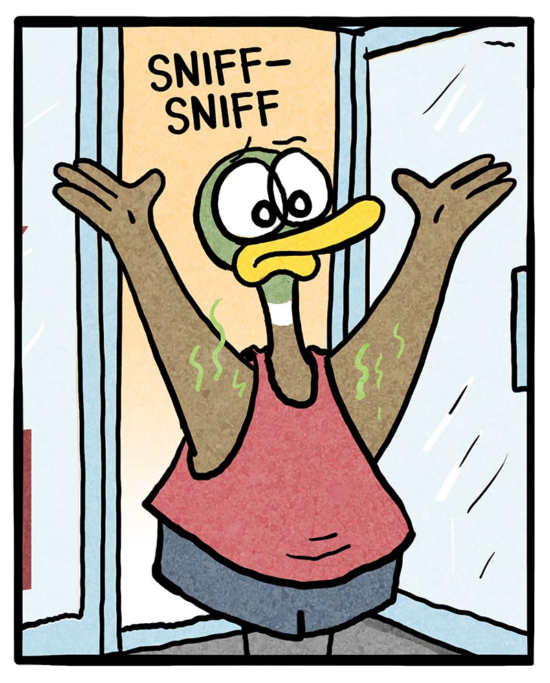 https://cdn.tinyview.com/fowl-language/2026/10/06/gym-smells/gym-smells-4.jpg