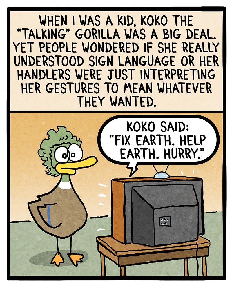 https://cdn.tinyview.com/fowl-language/2026/10/11/koko-the-gorilla/koko-1.jpg