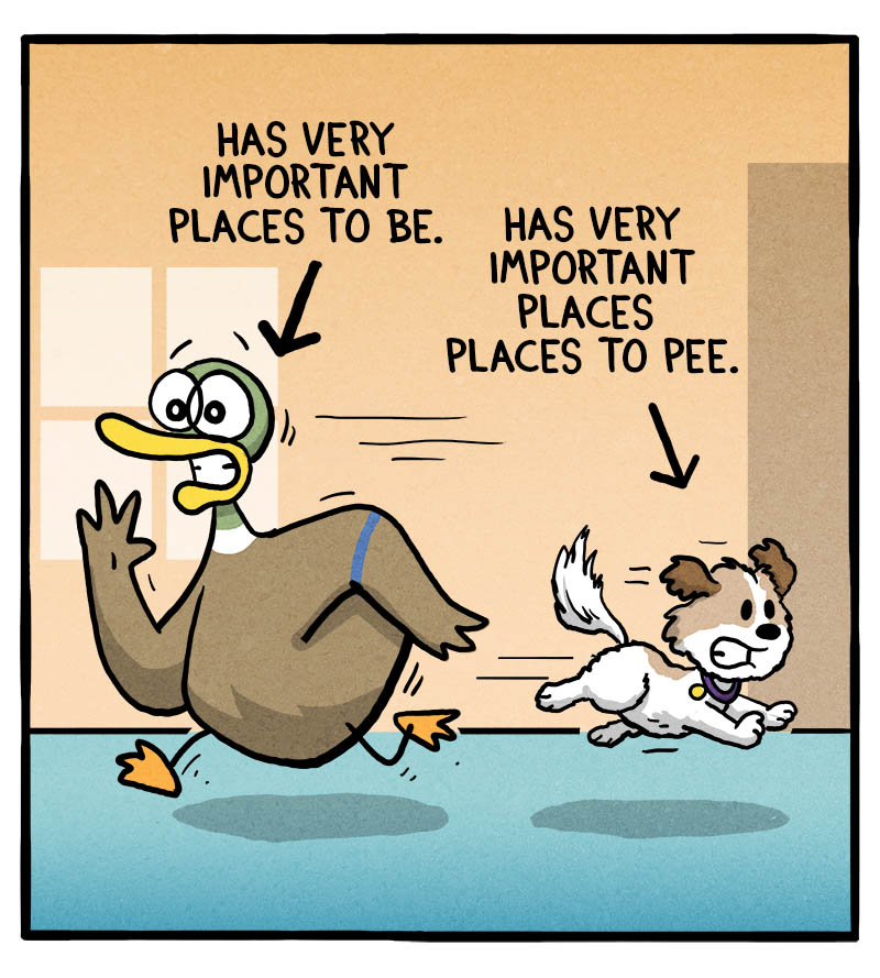https://cdn.tinyview.com/fowl-language/2026/10/18/somewhere-to-be/somewhere-to-be.jpg