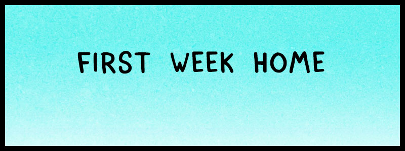 https://cdn.tinyview.com/fowl-language/best-of-babies/first-week-home/fowl-language-index.jpg