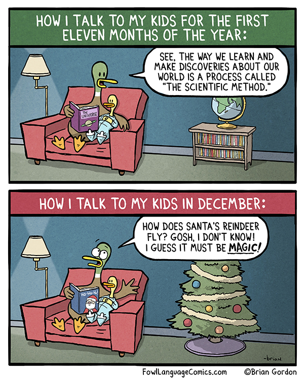 https://cdn.tinyview.com/fowl-language/best-of-christmas/magic-in-december/magic-in-december.jpg