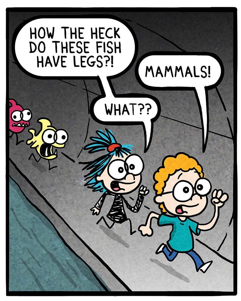 https://cdn.tinyview.com/frankie-fearless/2021/09/07/episode-63-mammals/mammals-1.jpg