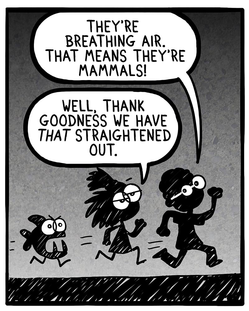 https://cdn.tinyview.com/frankie-fearless/2021/09/07/episode-63-mammals/mammals-2.jpg