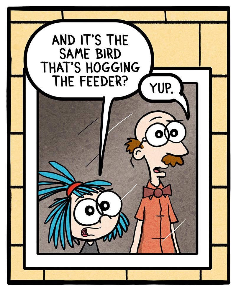 https://cdn.tinyview.com/frankie-fearless/2025/05/06/episode-414-bird-drama/bird-drama-3.jpg