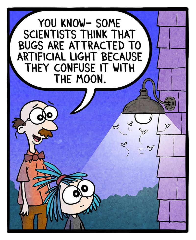 https://cdn.tinyview.com/frankie-fearless/2026/04/15/bug-light/bug-light-1.jpg