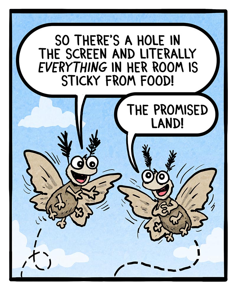 https://cdn.tinyview.com/frankie-fearless/2026/05/13/bug-removal/Bug-removal-2.jpg