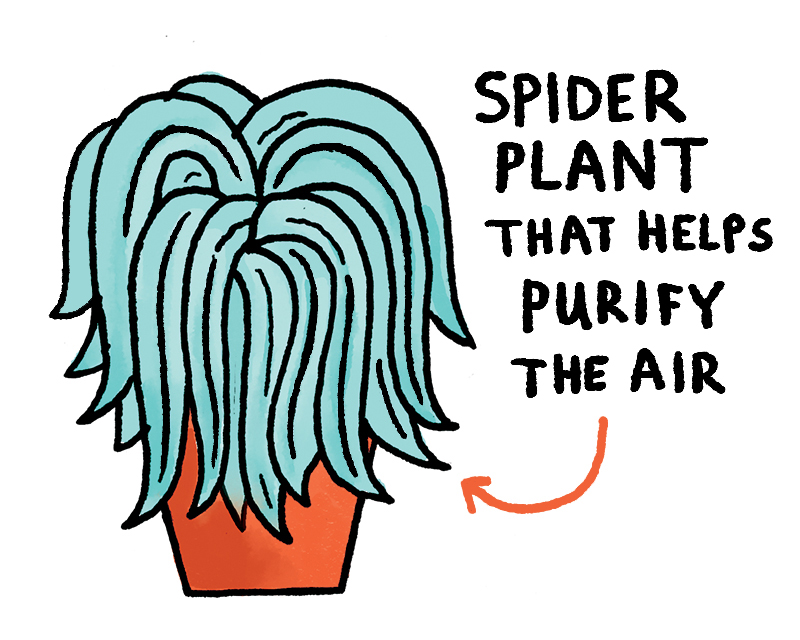 https://cdn.tinyview.com/gemma/2020/2020-11-29-houseplants/1.jpg