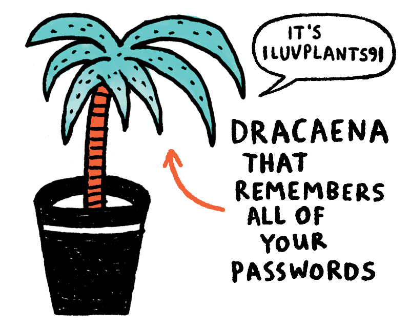 https://cdn.tinyview.com/gemma/2020/2020-11-29-houseplants/3.jpg