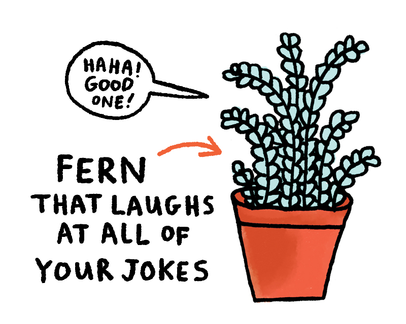 https://cdn.tinyview.com/gemma/2020/2020-11-29-houseplants/4.jpg