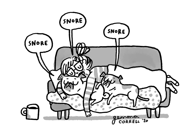 https://cdn.tinyview.com/gemma/2020/2020-12-23-sketchbook-snore/3.jpg