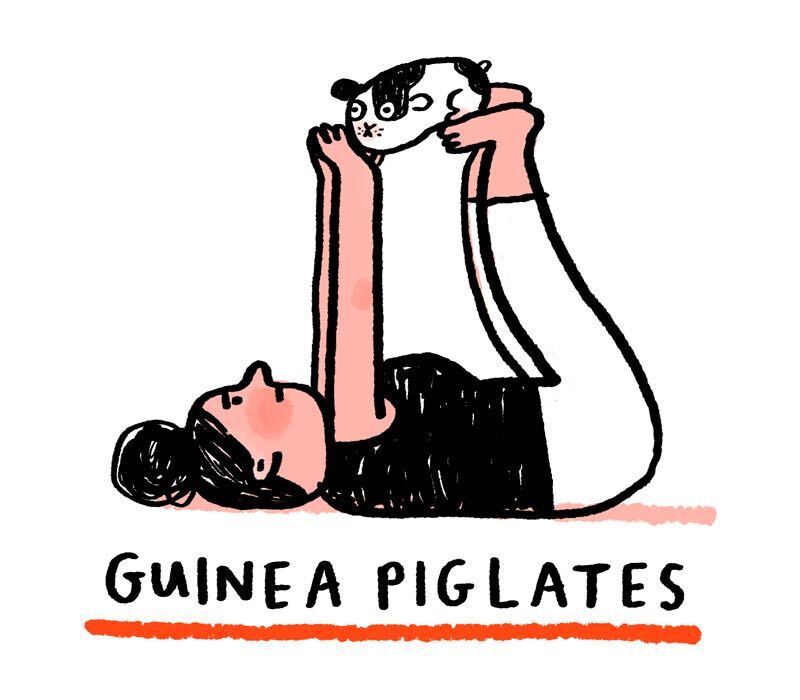 https://cdn.tinyview.com/gemma/2021/05/02/exercise-with-your-pets/2.jpg