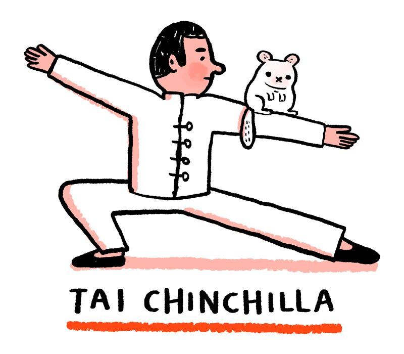 https://cdn.tinyview.com/gemma/2021/05/02/exercise-with-your-pets/3.jpg