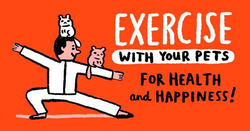 Exercise With Your Pets