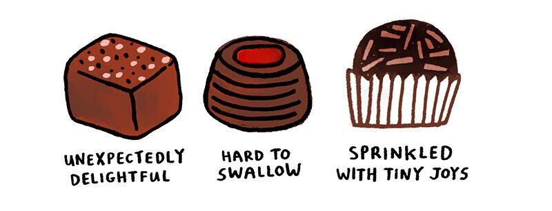 https://cdn.tinyview.com/gemma/2021/05/23/box-of-chocolates/2.jpg