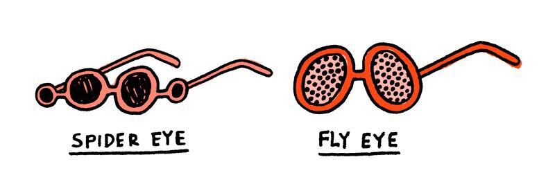 https://cdn.tinyview.com/gemma/2021/06/06/nature-inspired-sunglasses/2.jpg