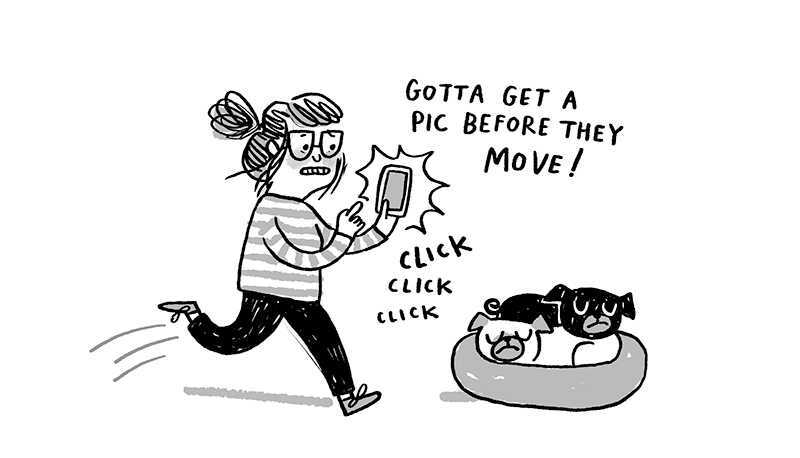 https://cdn.tinyview.com/gemma/2021/11/24/pet-pics/2.jpg
