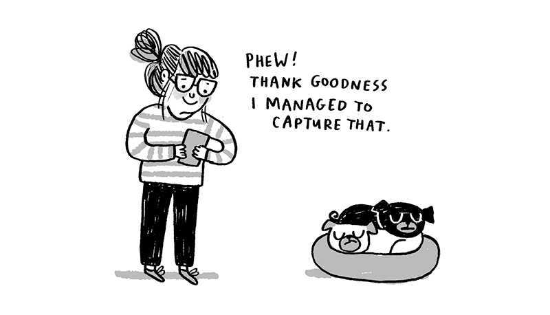 https://cdn.tinyview.com/gemma/2021/11/24/pet-pics/3.jpg
