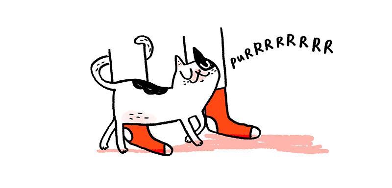 https://cdn.tinyview.com/gemma/2021/12/01/my-new-cat-friend/3.jpg