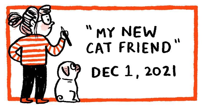 My New Cat Friend