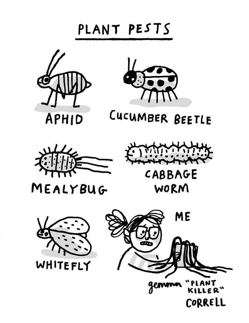 https://cdn.tinyview.com/gemma/2021/2021-02-17-sketchbook-plant-pests/pests.jpg