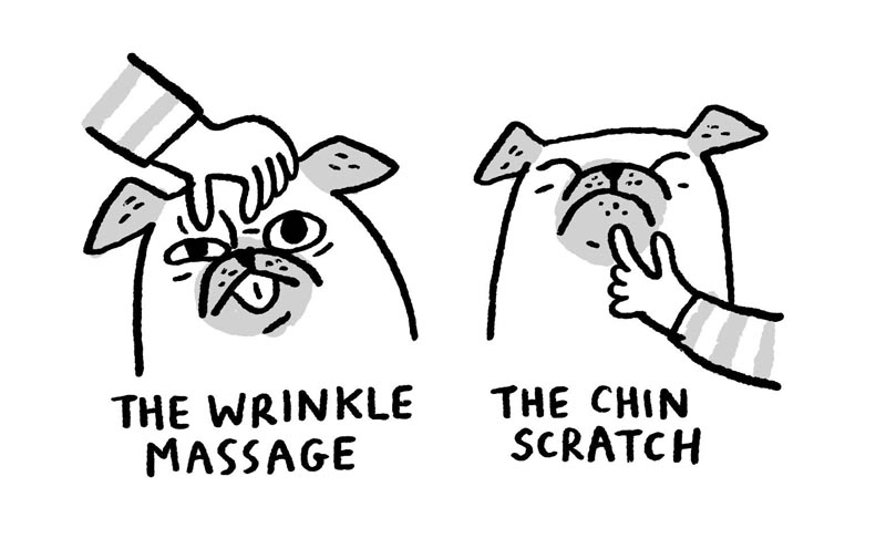 https://cdn.tinyview.com/gemma/2022/03/16/pug-massage-techniques/1.jpg