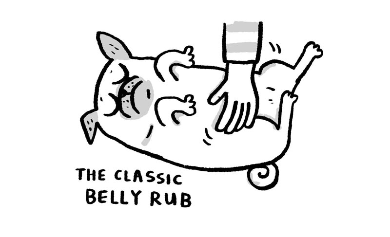 https://cdn.tinyview.com/gemma/2022/03/16/pug-massage-techniques/2.jpg