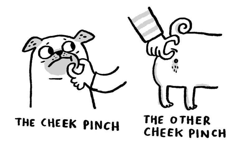 https://cdn.tinyview.com/gemma/2022/03/16/pug-massage-techniques/3.jpg