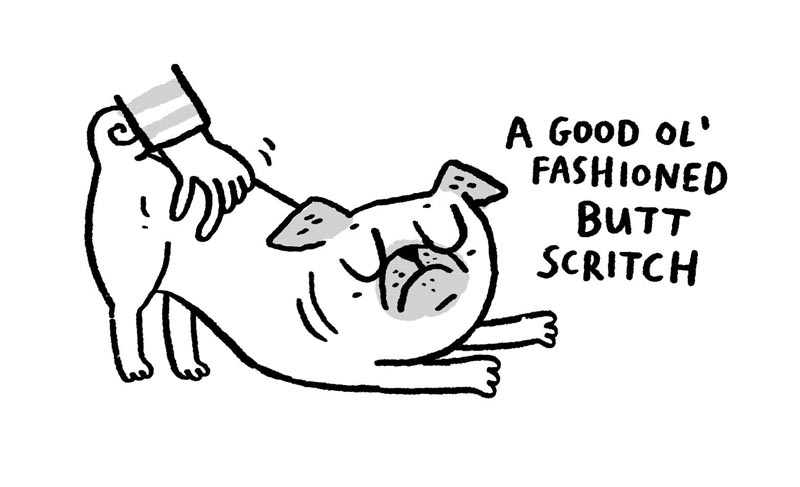 https://cdn.tinyview.com/gemma/2022/03/16/pug-massage-techniques/4.jpg