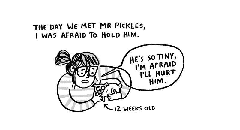 https://cdn.tinyview.com/gemma/2022/06/22/mr-pickles/1.jpg