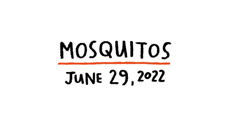 Mosquitos