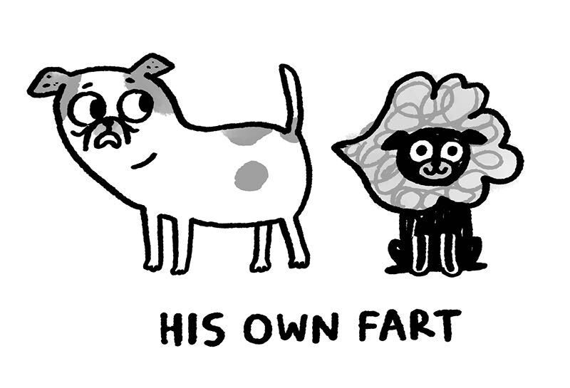 https://cdn.tinyview.com/gemma/2022/10/26/halloween-costumes-for-my-dog/4.jpg