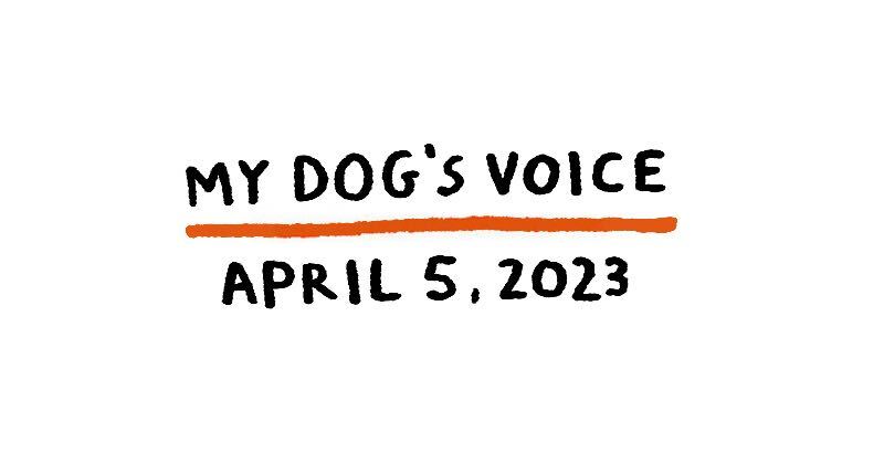 My Dog's Voice